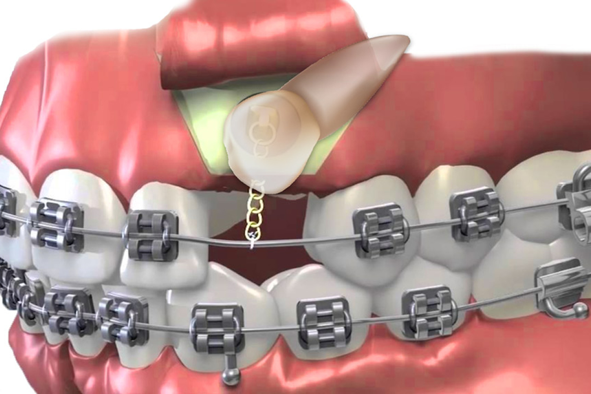 dentist