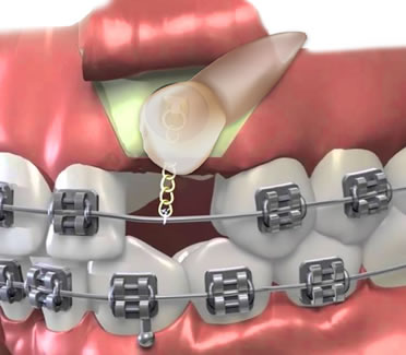 dentist