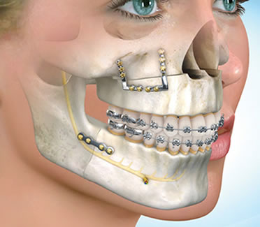 dentist